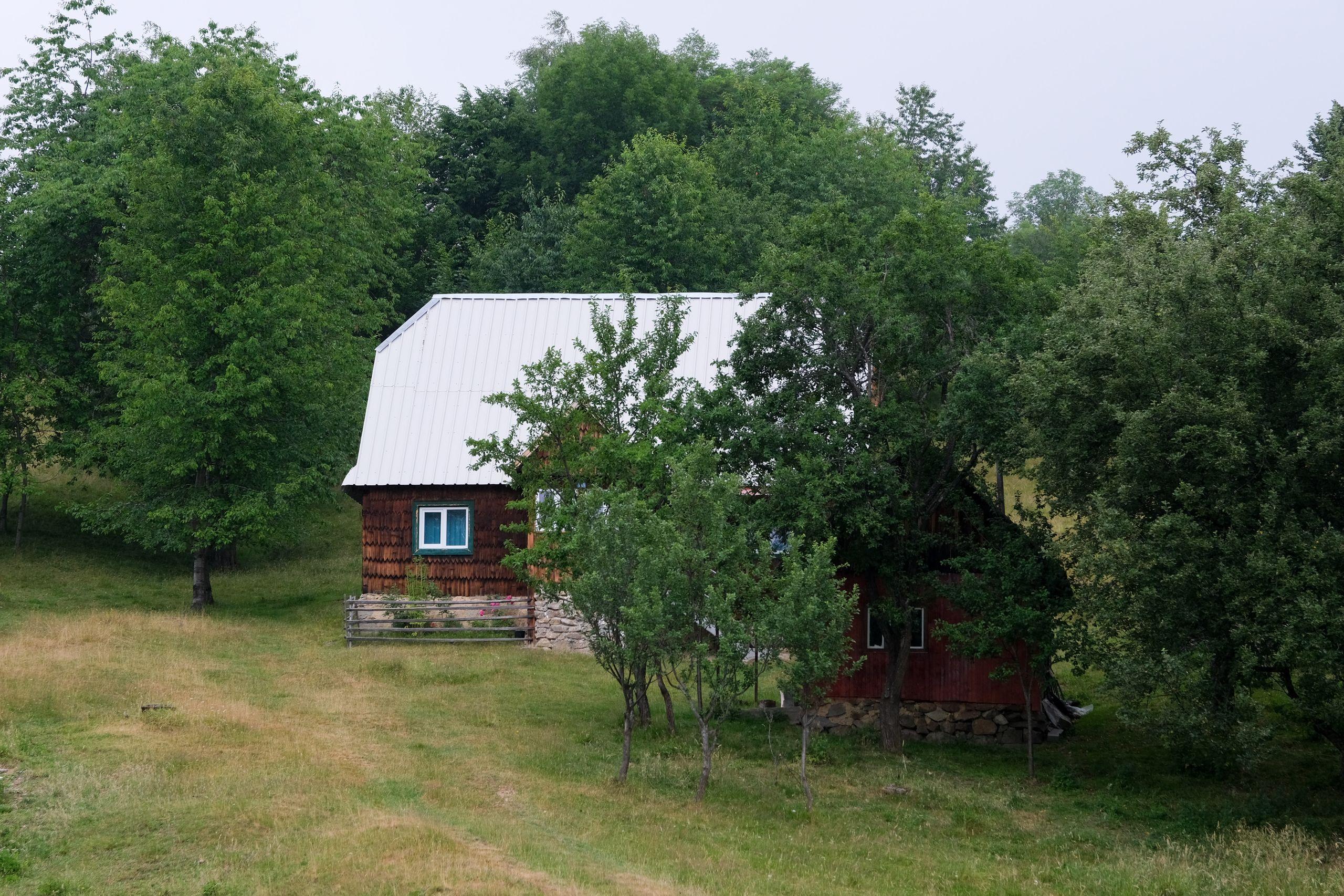 Mărgău. Foto: Raul Ștef