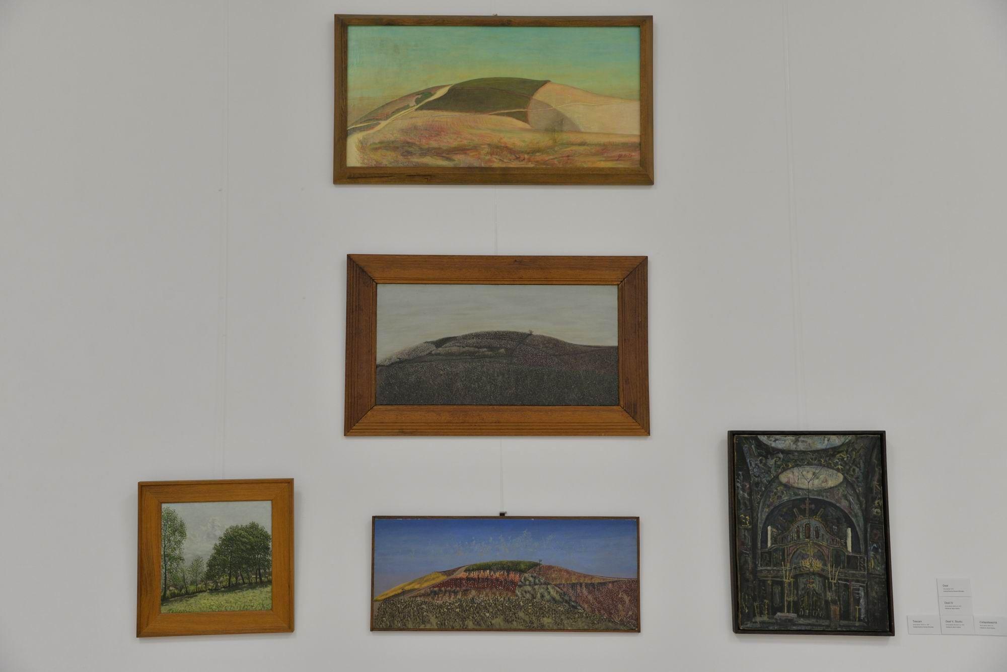 <em>Expoziția Horea Bernea la MȚR. Foto Lucian Muntean</em>