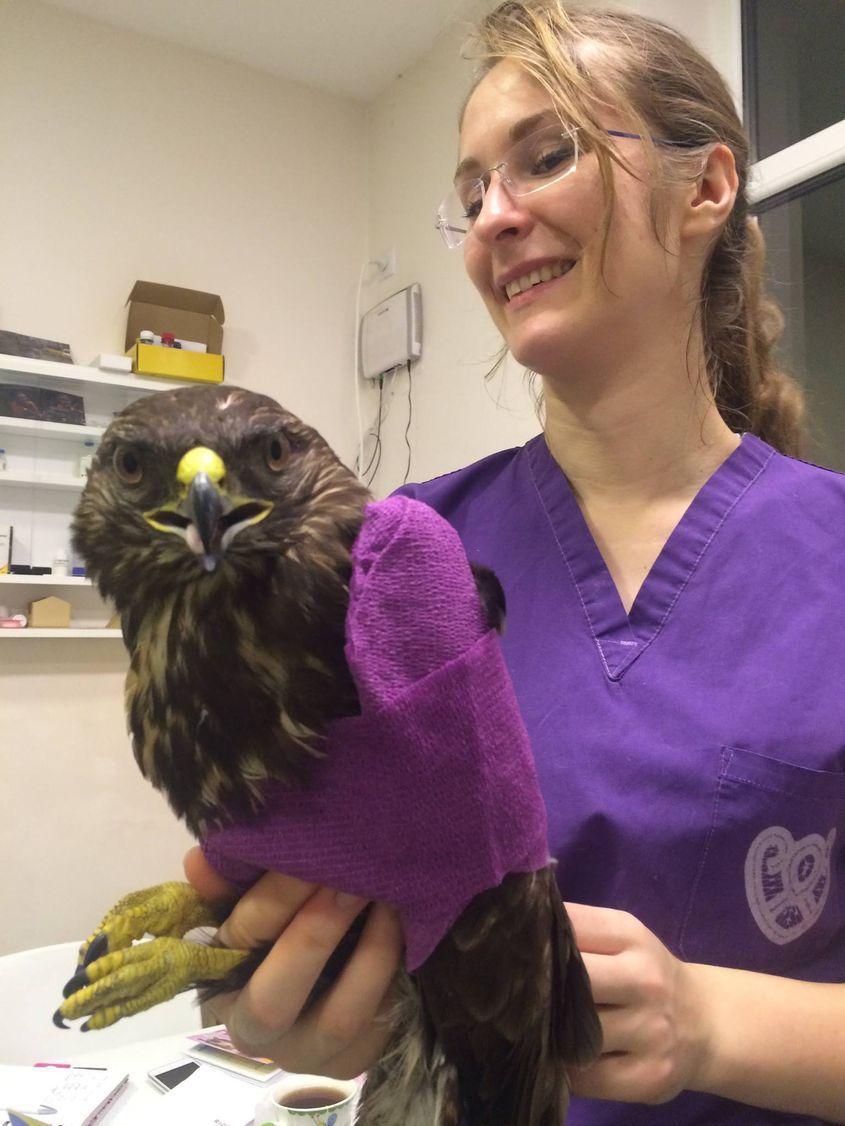 Iulia Mîndru și un șorecar comun. Foto: Visul Luanei