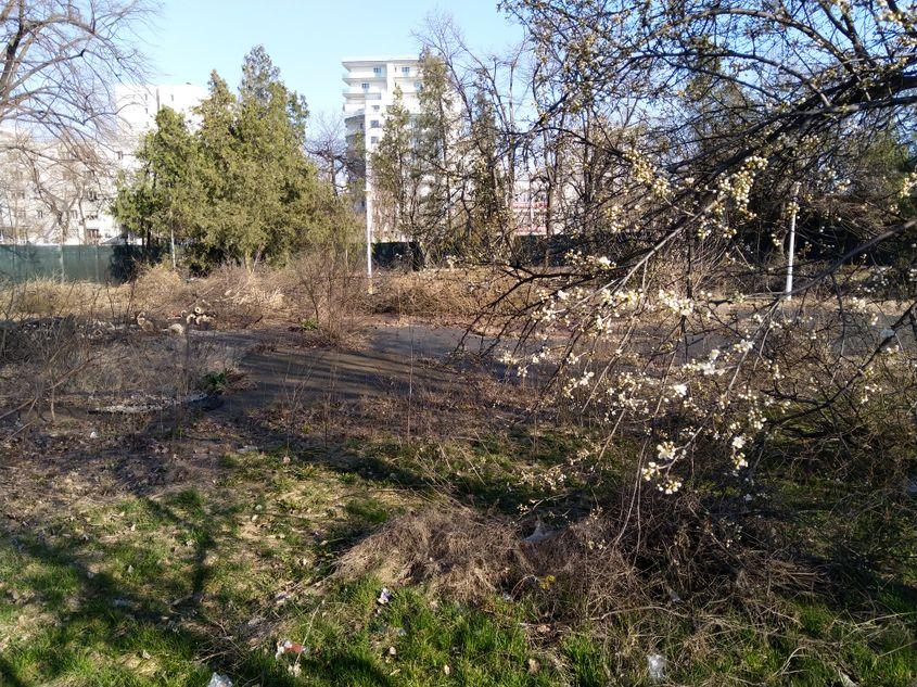 Așa arăta parcul la scurt timp după defrișarea din martie 2022. Fotografie primită de la unul dintre localnici