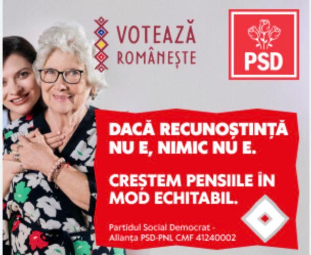 <em>Sursă: </em><a target="_blank" href="https://adstransparency.google.com/advertiser/AR01861182914755035137/creative/CR17847189007377629185?region=RO&topic=political&start-date=2024-05-10&end-date=2024-05-30"><em>Google Ads Transparency Center</em></a><em>.</em><em> Captură ecran parțială din reclamă PSD pe Google Ads</em>