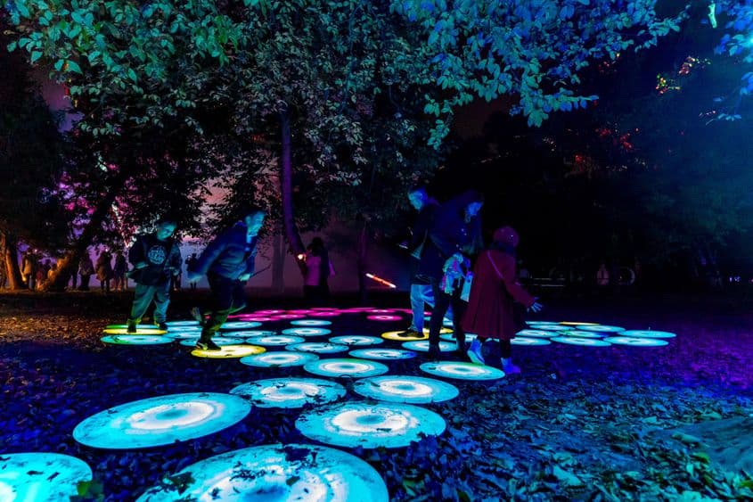 Foto: Facebook Universitatea din București