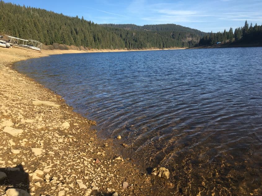 Lacul Beliș în zona satului Dealul Boții. <em>Foto:</em> Bianca Felseghi