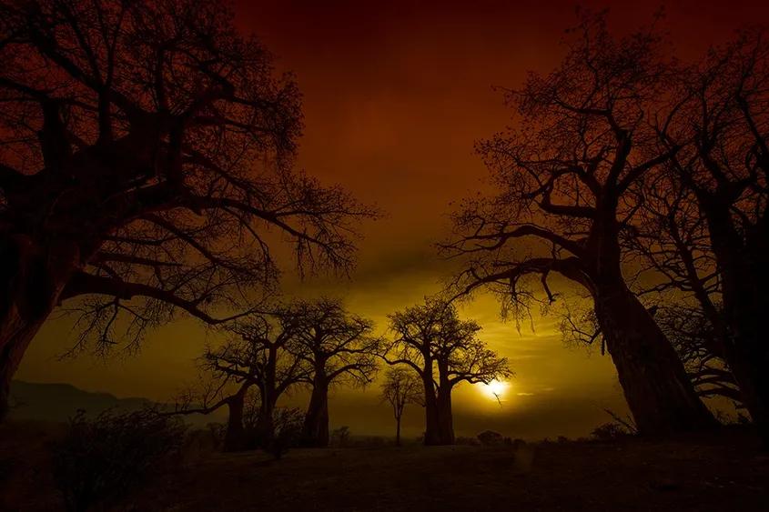 Foto: Andrei Mihalca