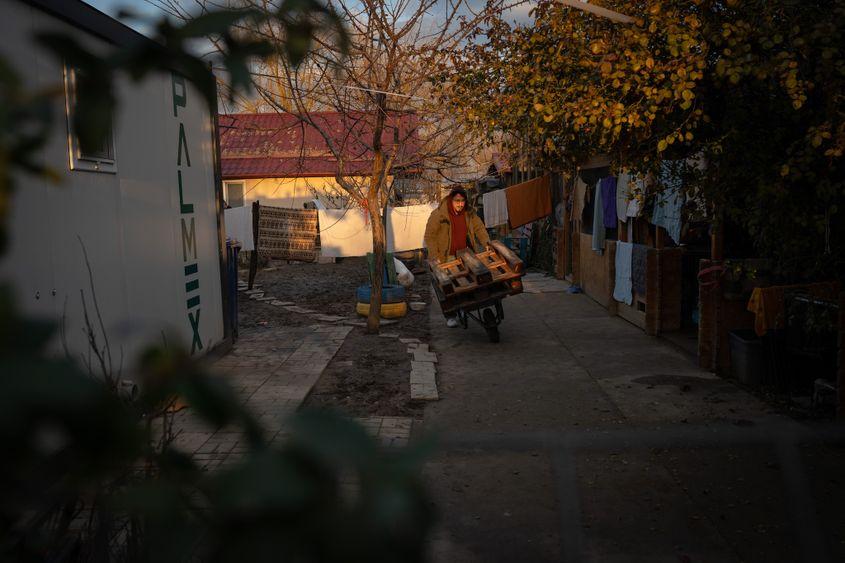 Tiberiu Enache, student la medicină veterinară, lucrează la sediul asociației Sache, în Tărtășești, pe 12 decembrie 2024. Foto: Andreea Câmpeanu