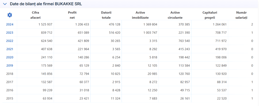 Câți bani a făcut Velescu prin firma Bukakke SRL. Captură de ecran via listafirme.ro