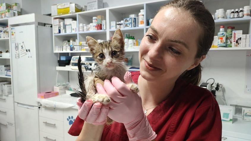 Foto: Charlie's Clinic Vet