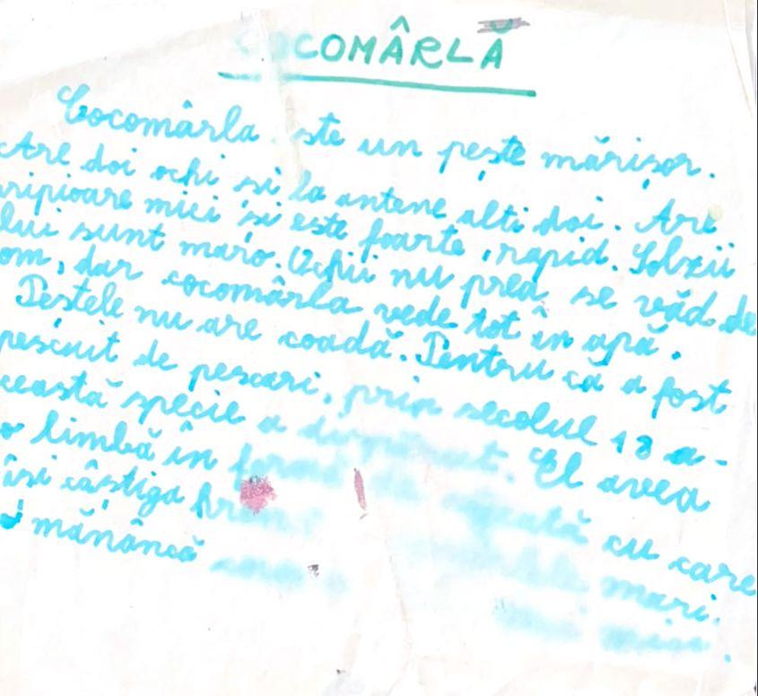 foto: arhiva personală