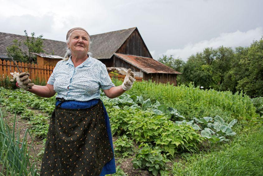 Péter Irén lucrează în grădina casei sale.