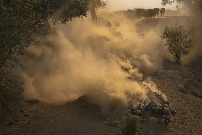 Foto: Andrei Mihalca