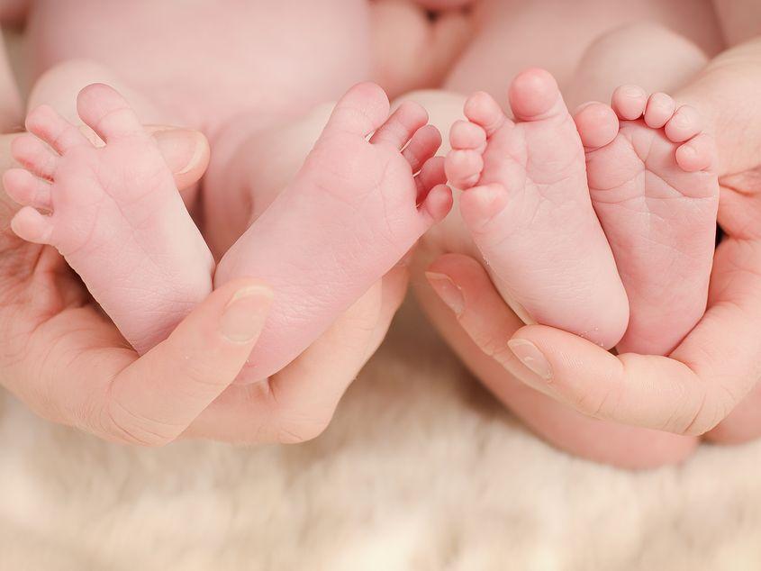 Foto: Melvin1205 | Dreamstime.com