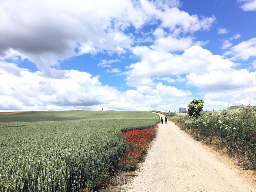 Imagine de pe Drumul lui Iacob (Camino de Santiago). Foto: Arhiva personală