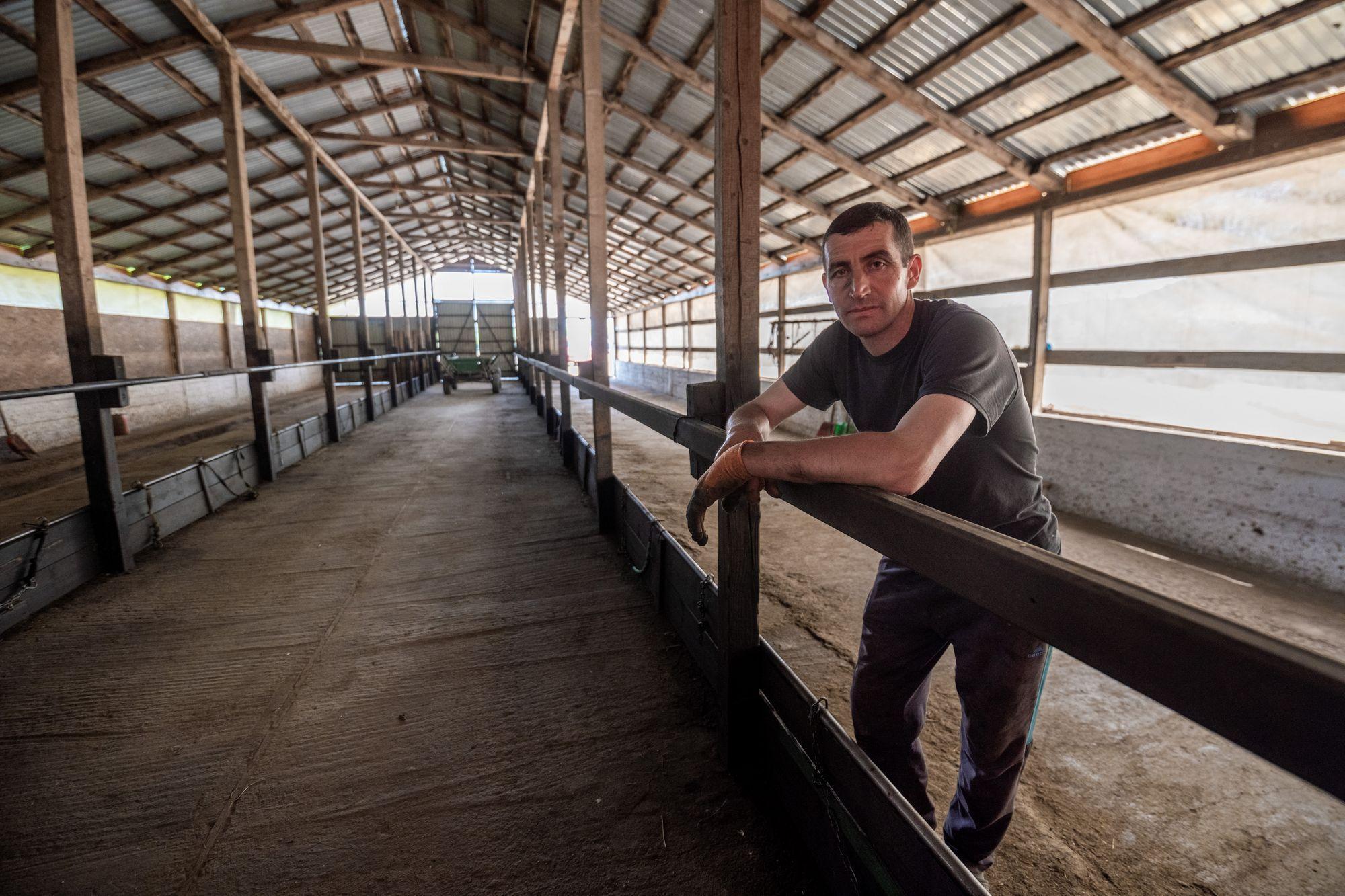 Adăpostul de iarnă pentru bovine