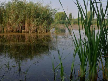 What did Romania do with half a billion euros for nature preservation?