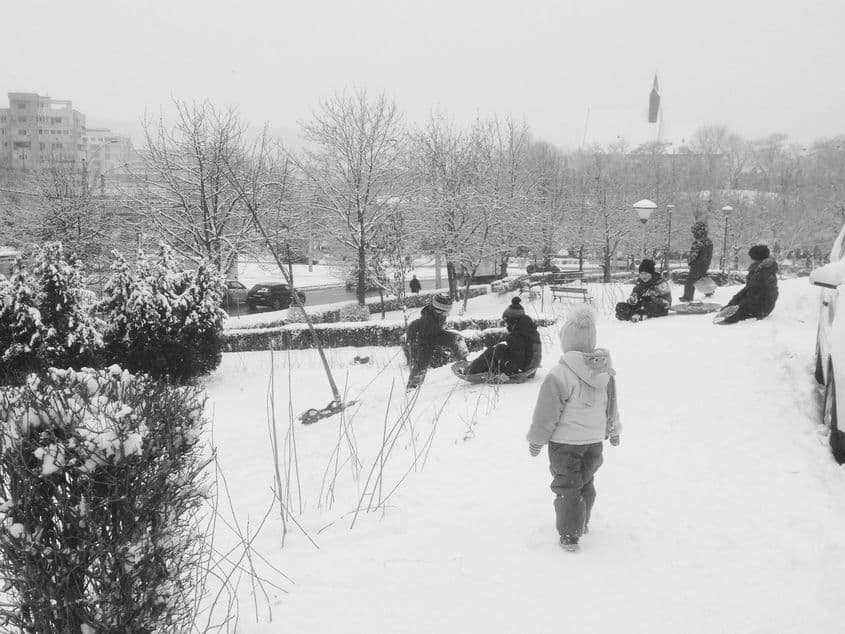 Foto: Cristina Barsony