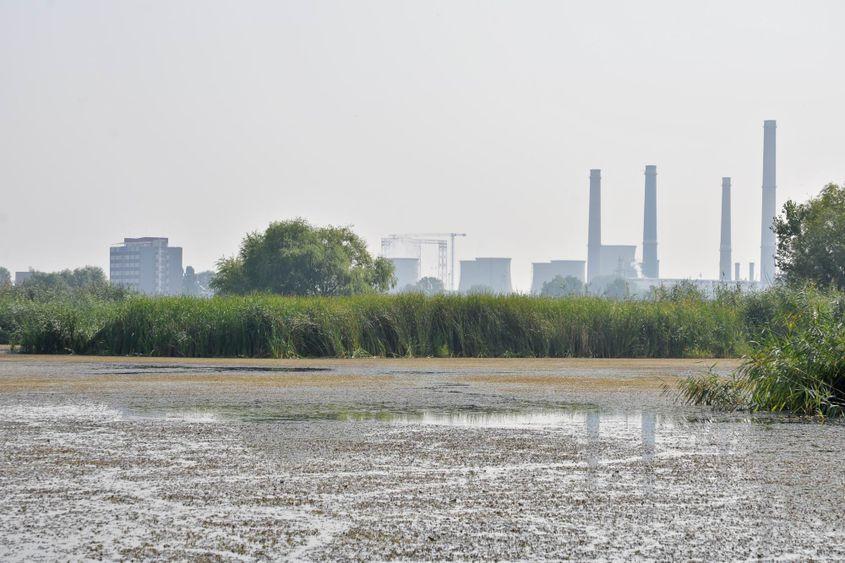 Lângă cel mai mare parc natural urban din Europa continentală se află cea mai mare centrală termoelectrică (CET Sud) din sud-estul Europei.