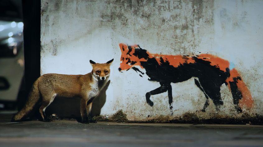 © Christian Baumeister, Light & Shadow GmbH