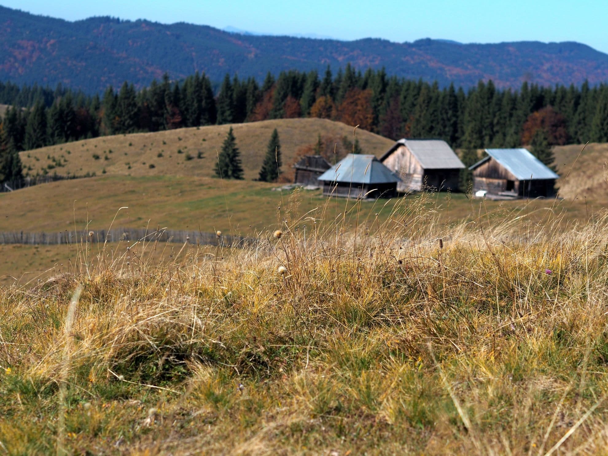 Dacă ai scăpat de abruptiș, vezi până departe, dincolo de obcine