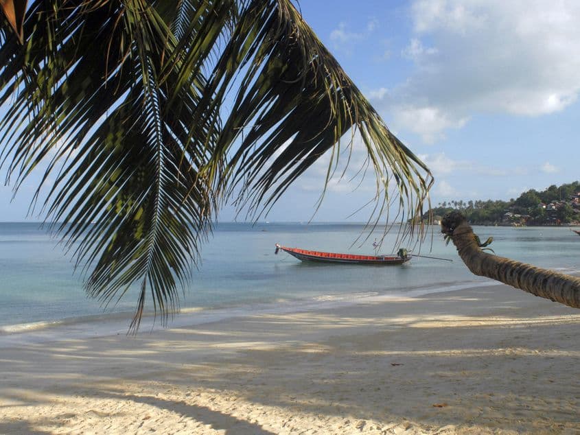 Koh Panghan: plaja enervant de perfectă de dinaintea ogrăzii. (Fotografiile îi aparțin autorului)