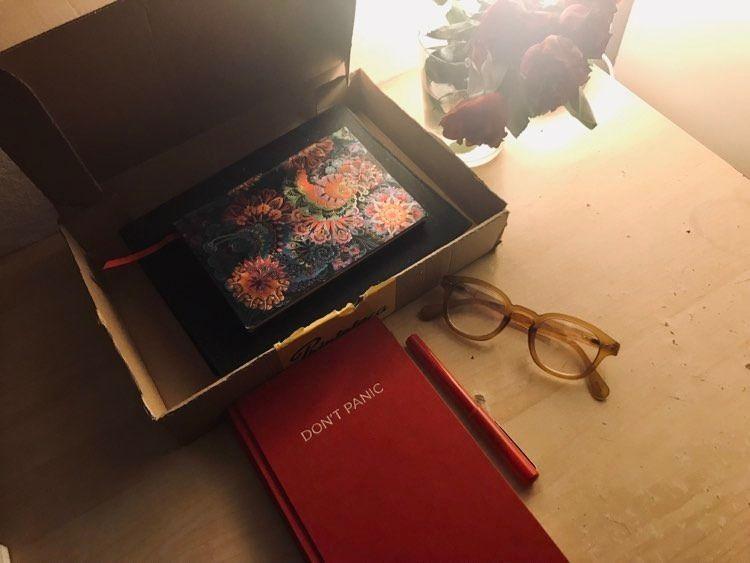 <meta charset="utf-8">Jurnalele Mălinei din liceu (în cutie) lângă jurnalul Mălinei de acum