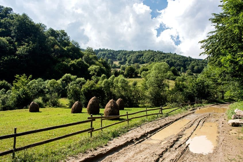 Împrejurimile satului Bichigiu (Năsăud), zonă în care Pașca s-a izolat în anii ’50. Foto: Raul Ștef