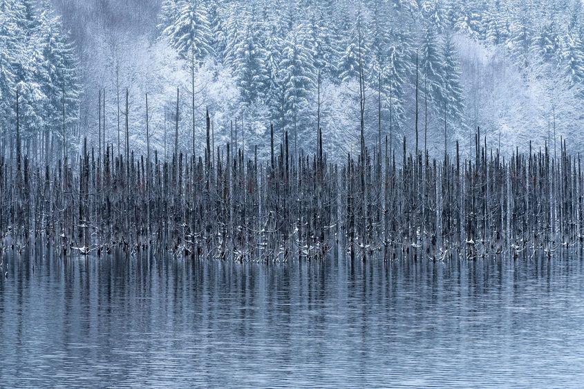 © Gheorghe Popa