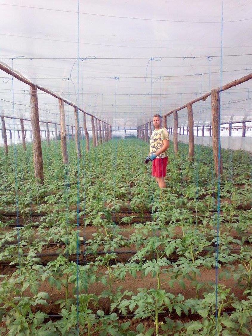 În anul când s-a apucat de agricultură, Dorinel Condrache a muncit degeaba.