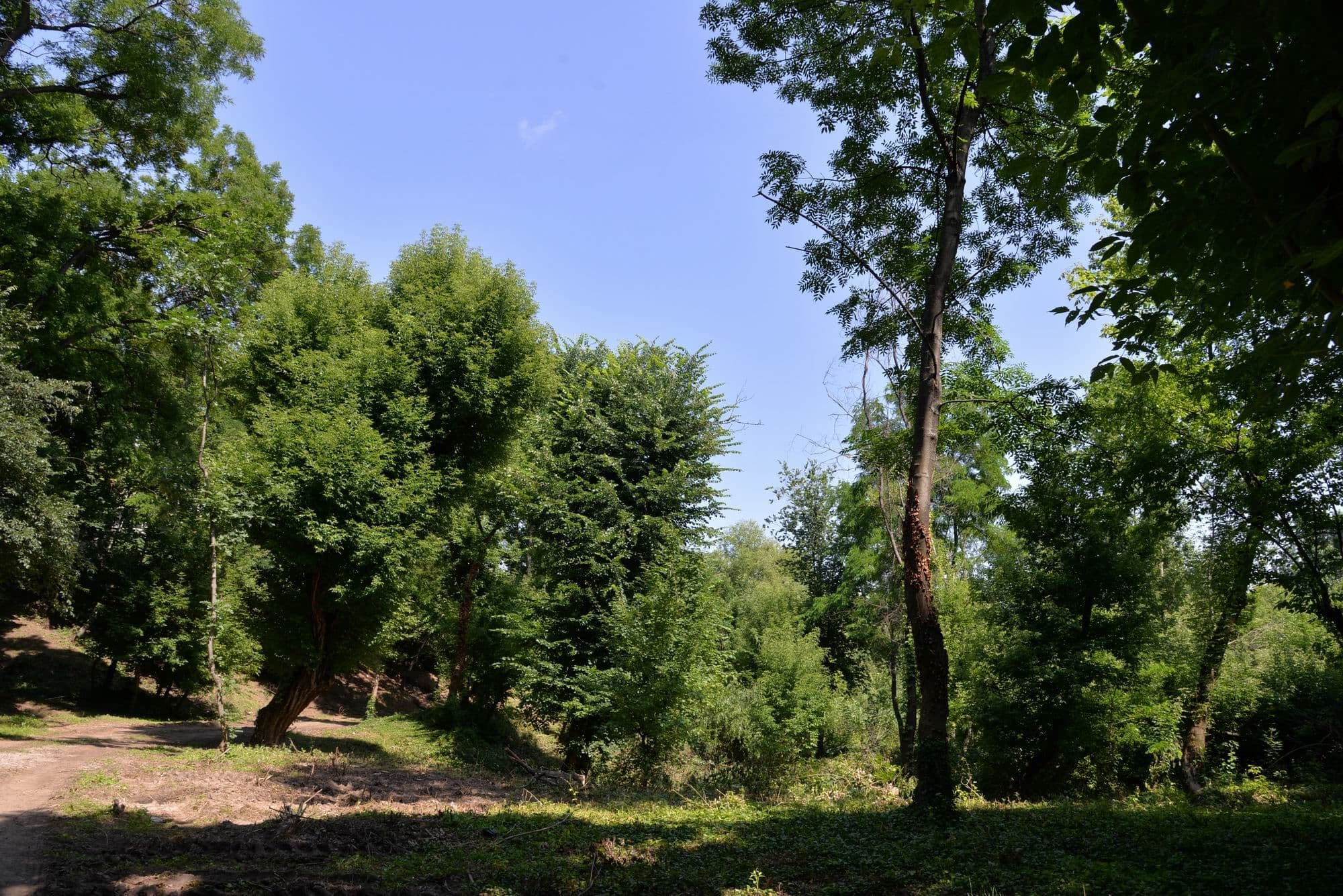 Parcul Sticlăriei din Sector 2, București. Foto Lucian Muntean