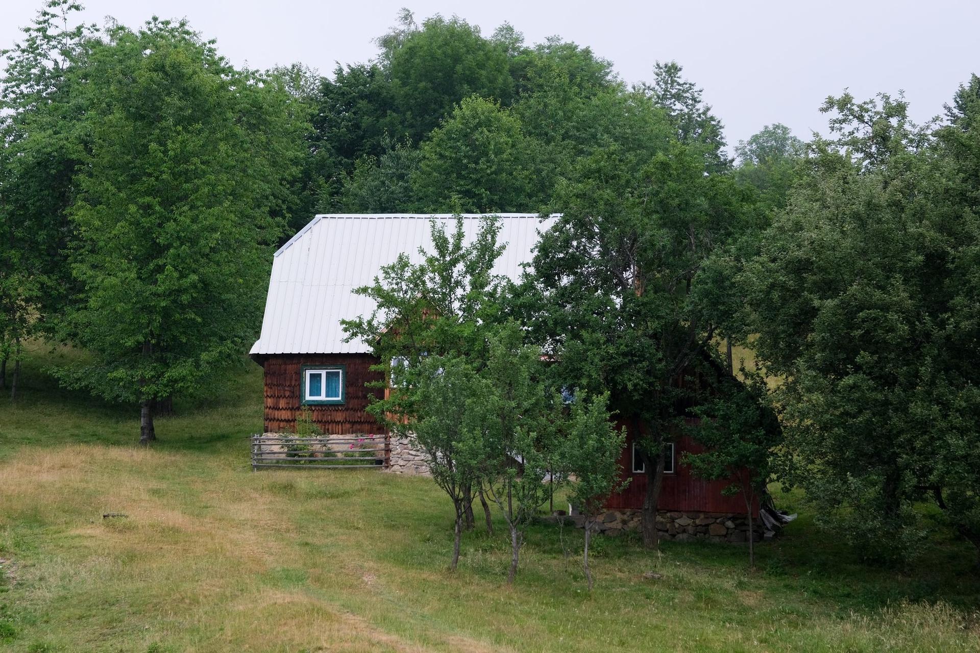 Mărgău. Foto: Raul Ștef