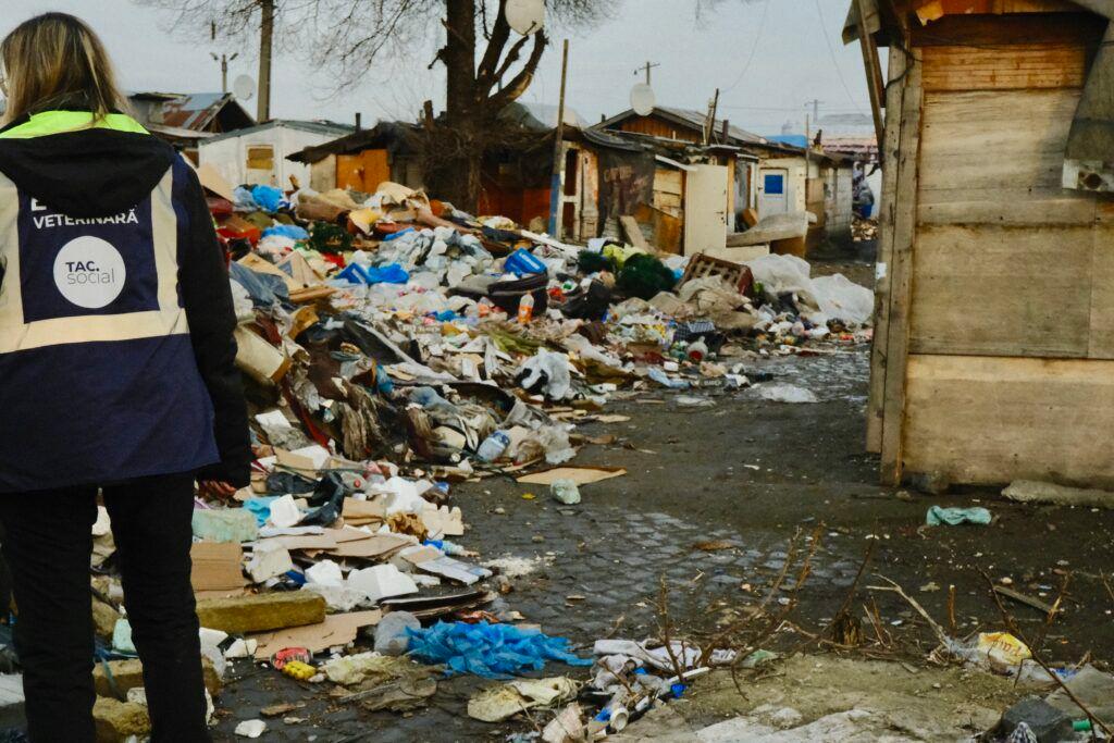 Foto: Vlăduț Bîlea