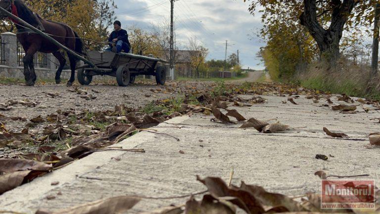 Foto: monitorulbt.ro