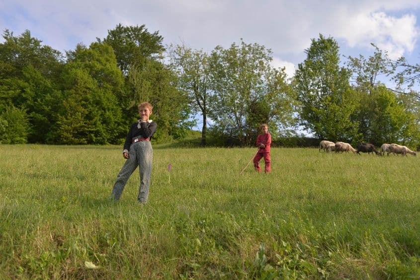 Frații și surorile lui Fănică păzesc oile tatălui lor.