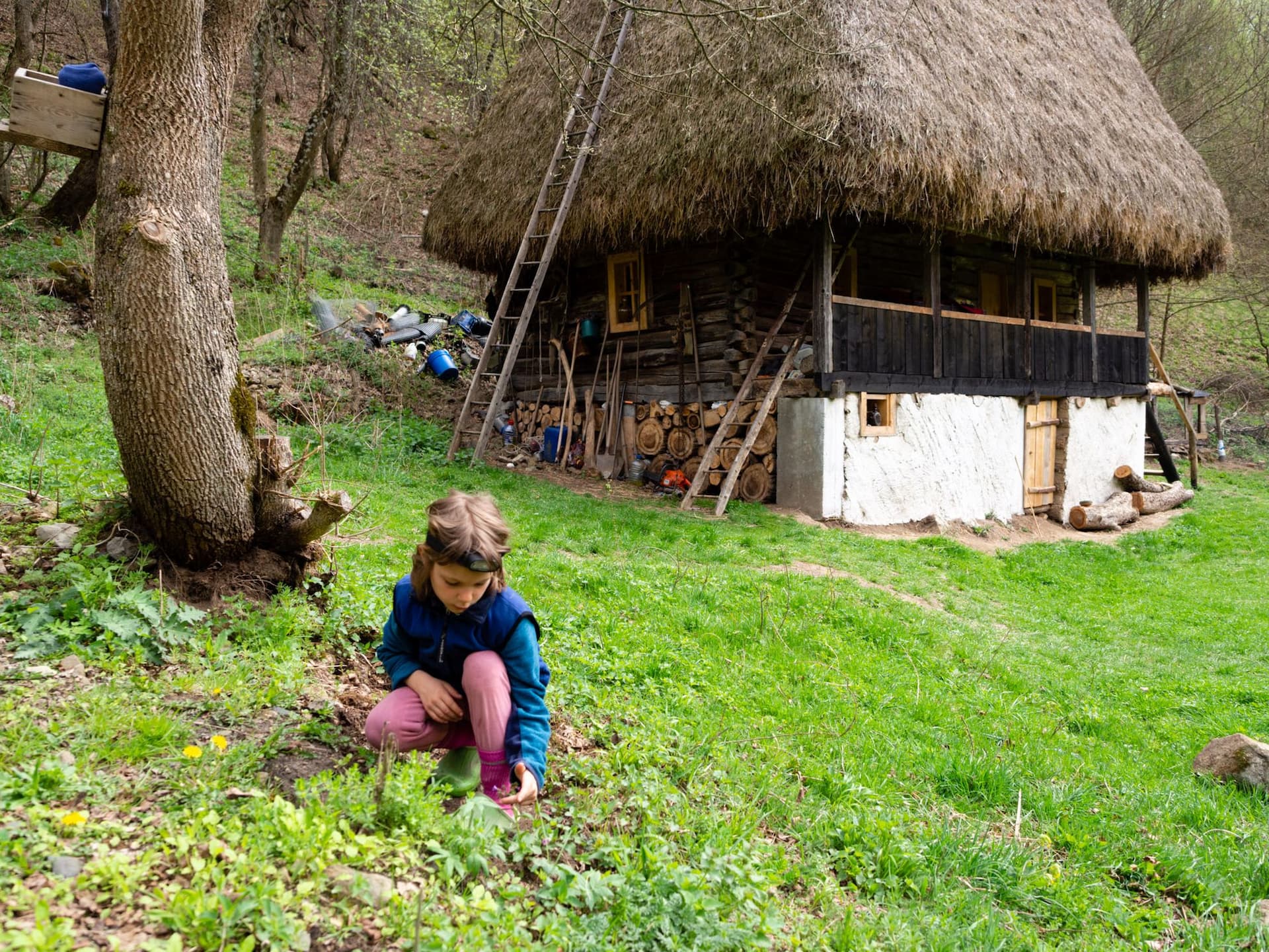Cu toții visăm să putem trăi în natură, sustenabil. Realitatea ne lovește prea des în față. Dar nu este o luptă imposibilă. Foto: Raul Ștef