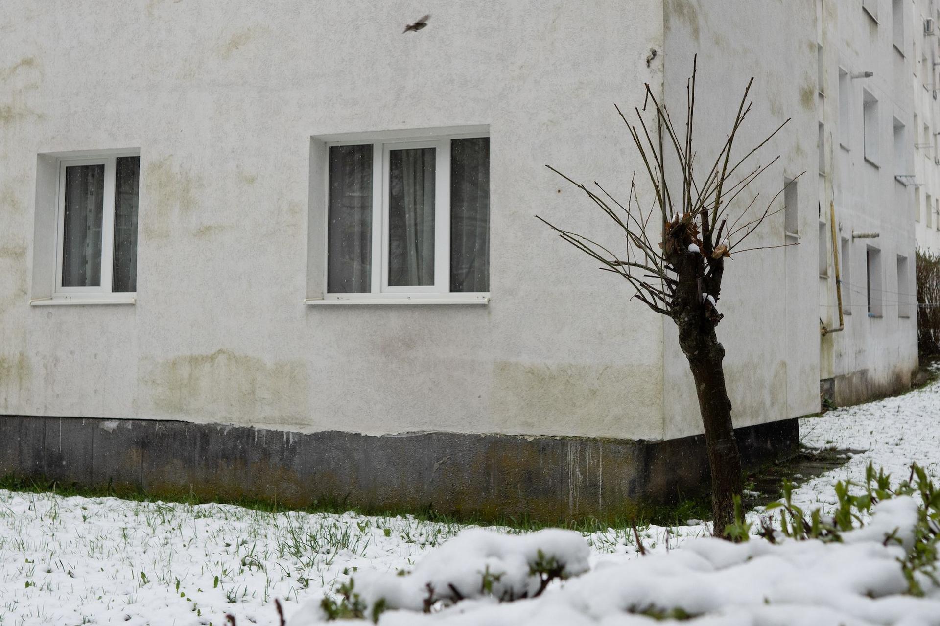 Toaletare în Mănăștur. Foto: Raul Ștef
