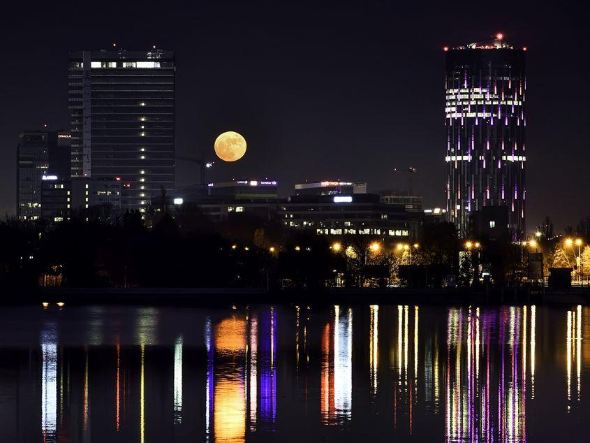 Clădiri de birouri din București, în zona lacului Herăstrău. Foto: Eduard Guțescu / Dreamstime.com