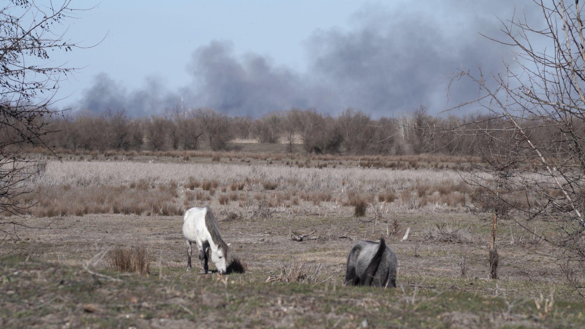 The burning Danube delta. Letea, 2023. Photo: Octavian Coman