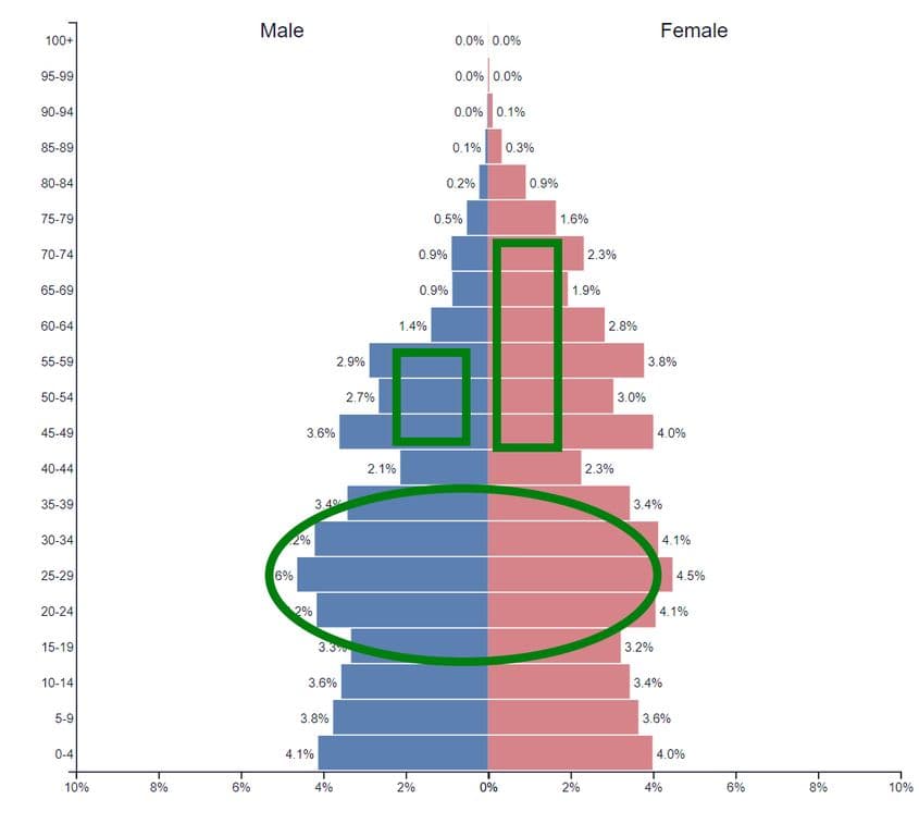 Sursa: PopulationPyramid.net