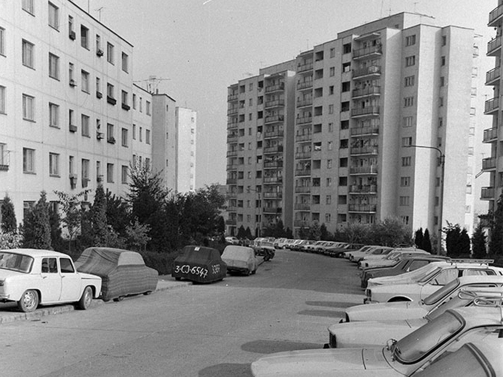 Foto: <a target="_blank" rel="noreferrer noopener" href="https://www.photoarchive.minerva.org.ro/Ro" target="_blank">Arhiva Minerva</a>