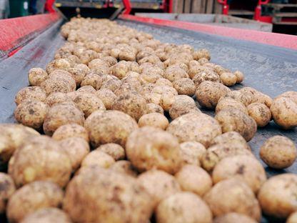 Povestea Lay’s pe care nu o știai: de la brazdele din Covasna la gustul care a cucerit 17 țări (P)