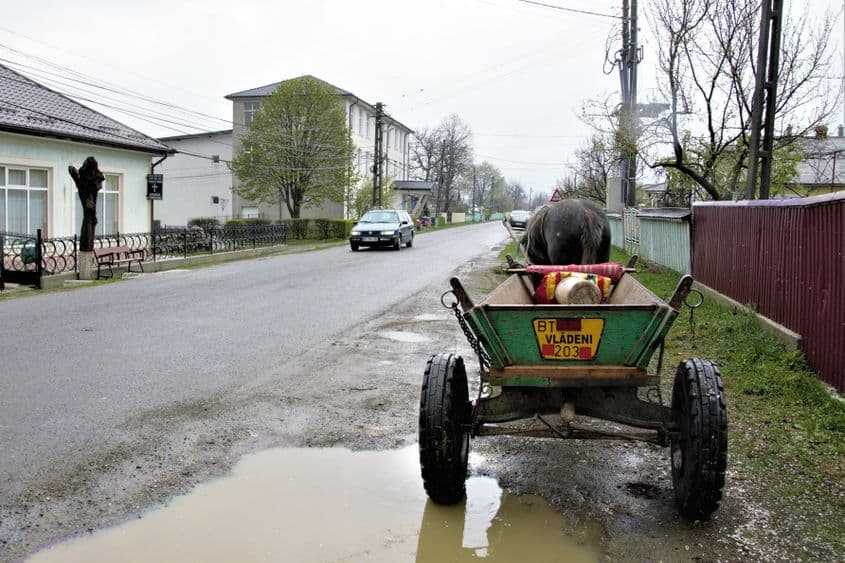 Comuna s-a golit. Cei buni de muncă au plecat, au rămas bătrânii. Nu mai e nici văcar, dispar și ciobanii.