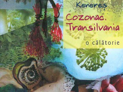 Cozonac. Transilvania. O călătorie