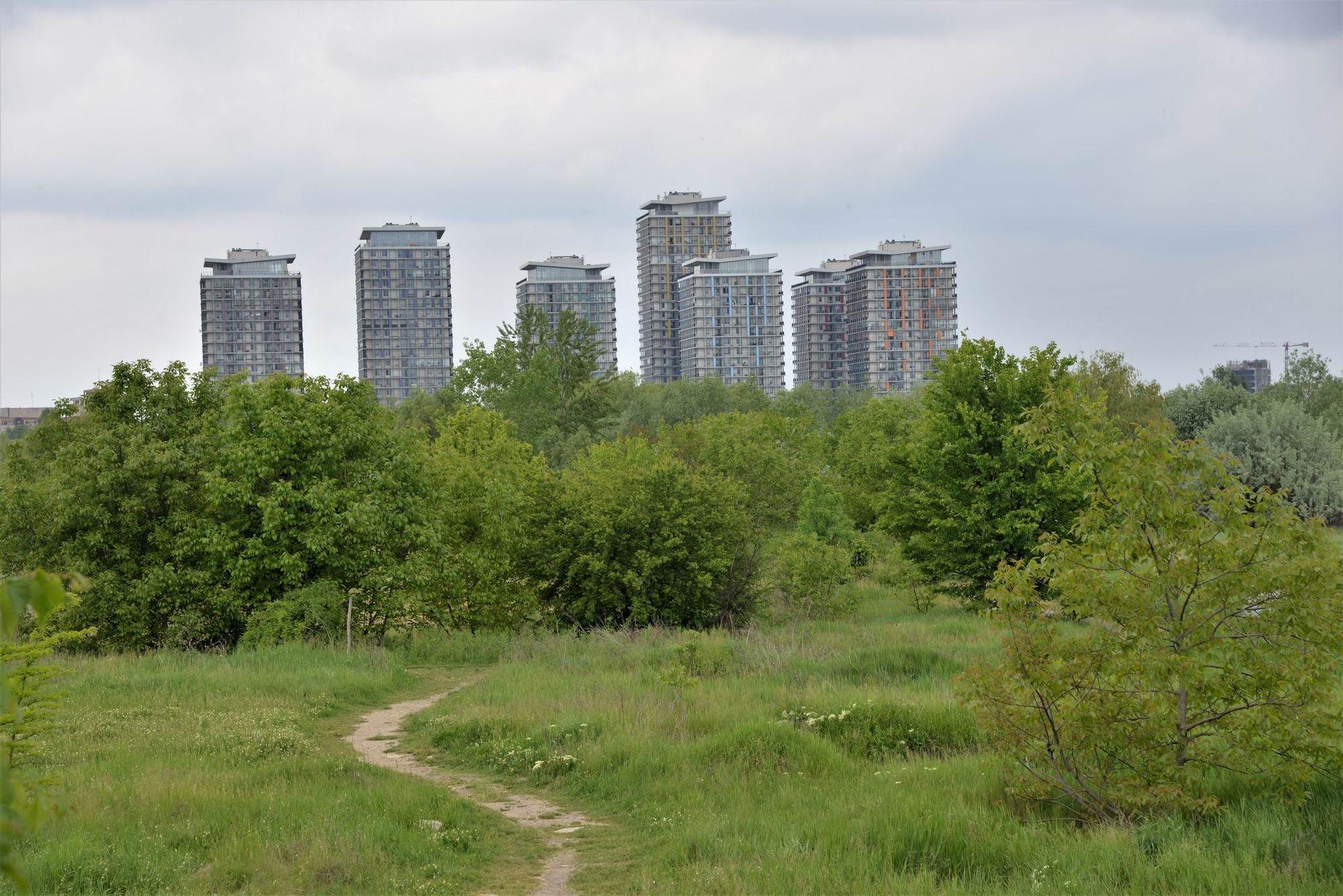 Parcul Natural Văcărești. Foto Lucian Muntean