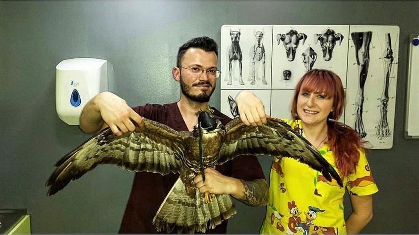 Viesparul, cu și fără scufie, în brațele lui Paul Chirana, la MDP Vet. Foto: Arhiva personală a lui Paul Chirana