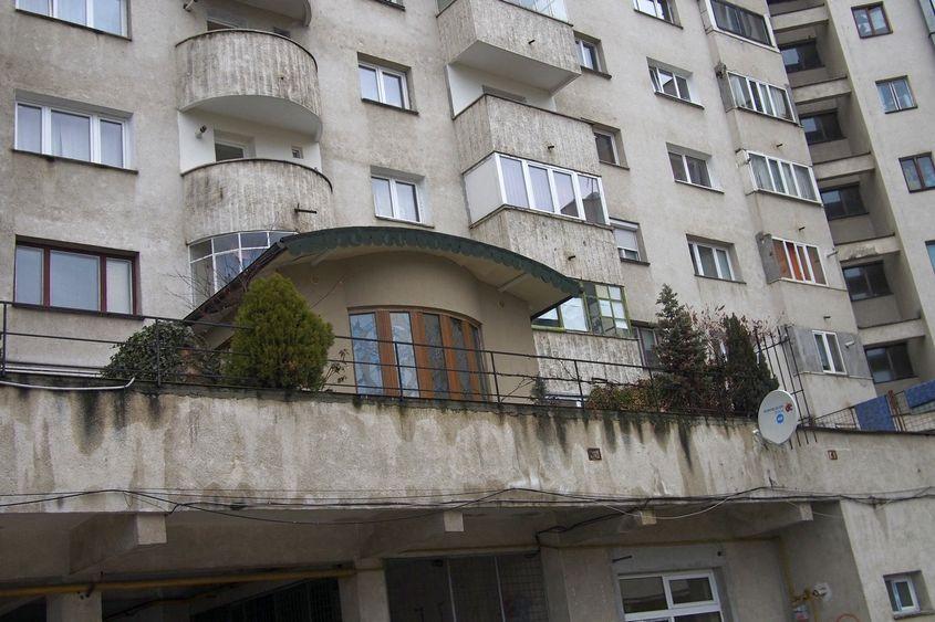 În cartierul Cipariu din Cluj, cineva a profitat transformându-și apartamentul în vilă cu tuia. Tot la bloc.