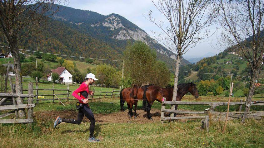 Profesorul Ștefan Sălăgean. Foto: Arhiva personală