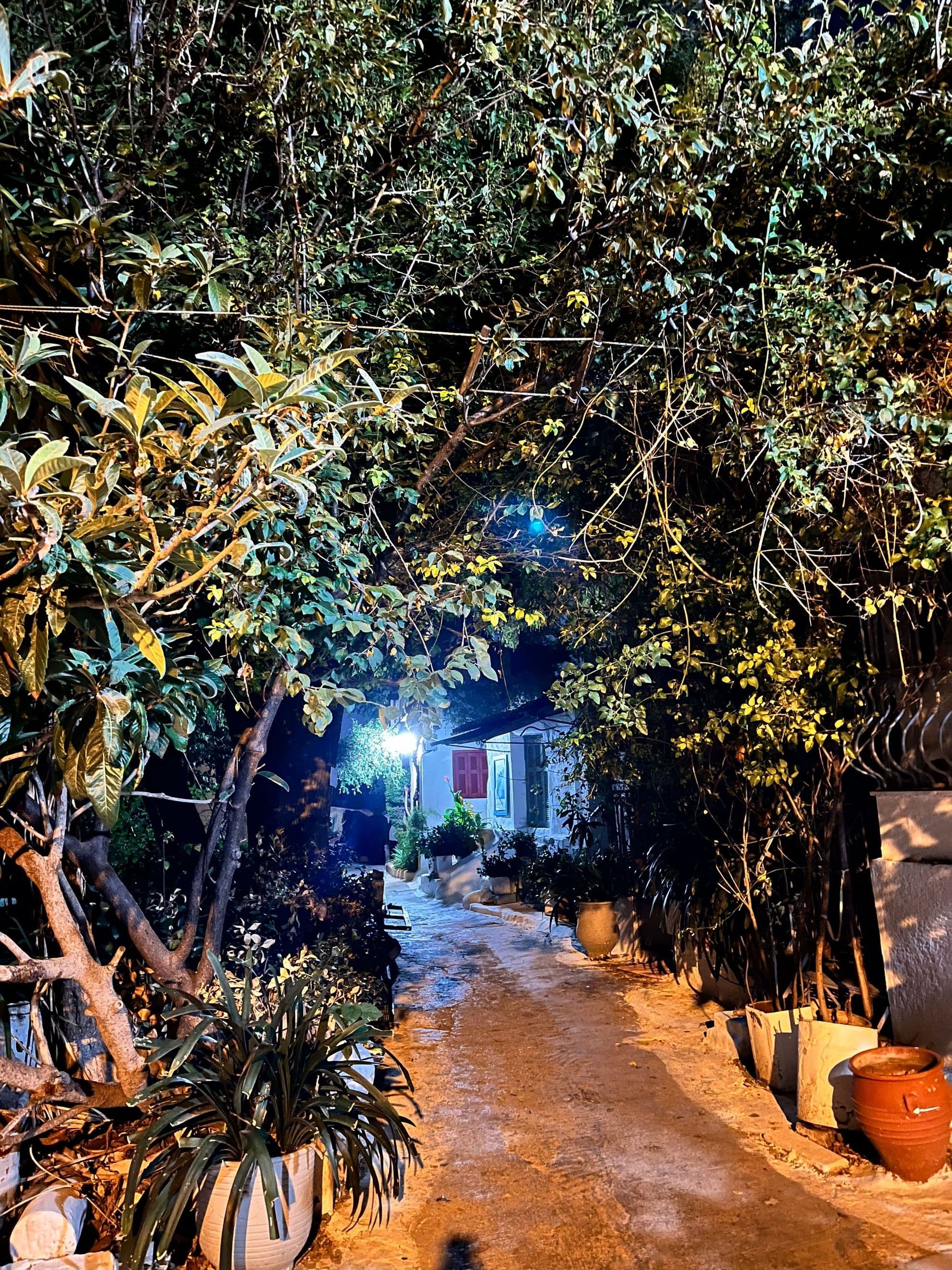 Dacă ai răbdare, vei găsi în Atena străduțe mici și liniștite, unde să fugi de aglomerație. Foto: Ioana Epure