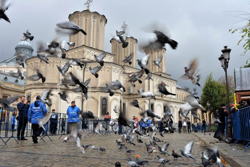 Foto: Lucian Muntean