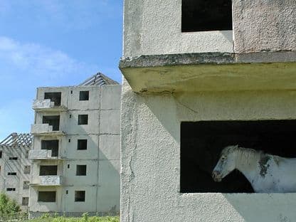 Orașul născut mort. Orașul Nou