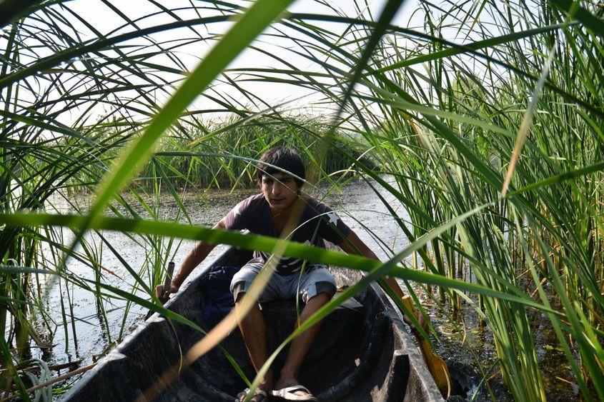 Vali (16 ani), în mijlocul unui peisaj care a făcut ca groapa Văcărești să-și atragă supranumele Delta Văcărești. Foto: Lucian Muntean