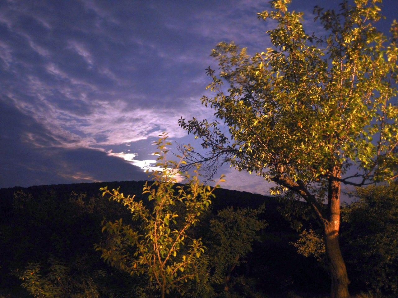 Toate fotografiile aparțin autorului.